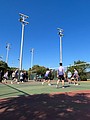 002 (93).jpg