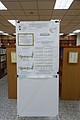 DSC07883.JPG