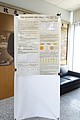 DSC07889.JPG