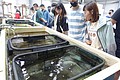 DSC08430.JPG