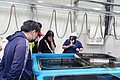 DSC08431.JPG
