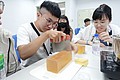 DSC08446.JPG