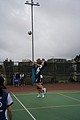 DSC05445.JPG
