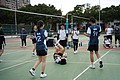 DSC07069.JPG