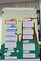 DSC00575-3.JPG