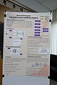 DSC00578.JPG