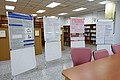 DSC00582.JPG