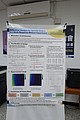 DSC00600-3.JPG