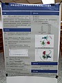 IMG_20240606_143818-1.jpg