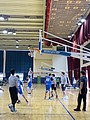 IMG_7039.jpg