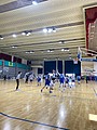IMG_7081.jpg