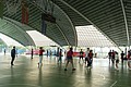 DSC03420.JPG