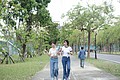 DSC03513.JPG
